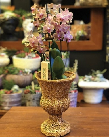 Seramikte Minyatür Pembe Orkide